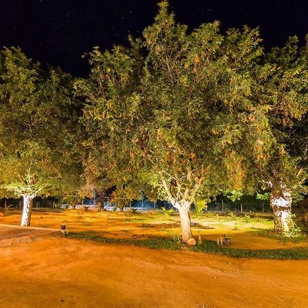 Forestville يالا المظهر الخارجي الصورة