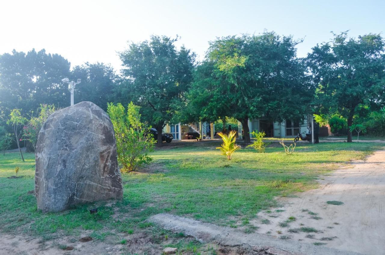 Forestville يالا المظهر الخارجي الصورة