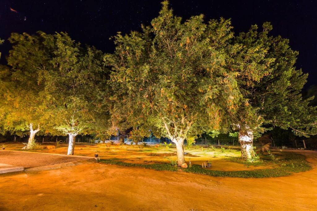 Forestville يالا المظهر الخارجي الصورة