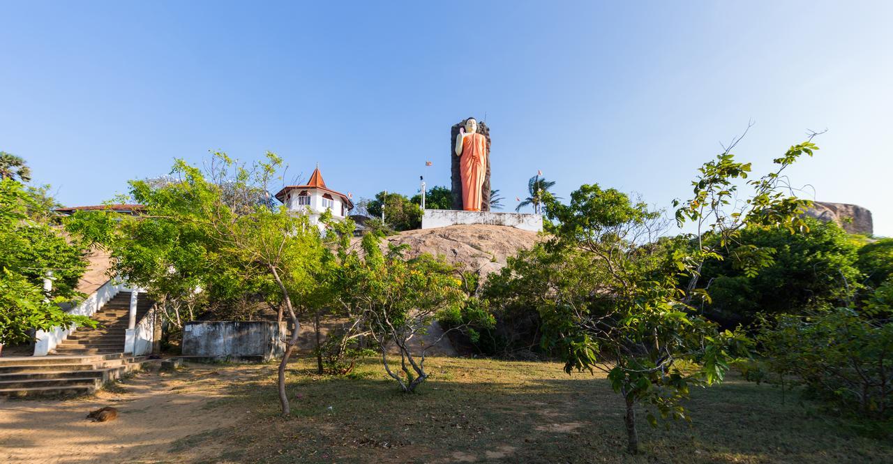 Forestville يالا المظهر الخارجي الصورة